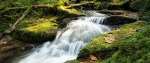 Preview wallpaper stream, cascade, waterfall, grass, leaves