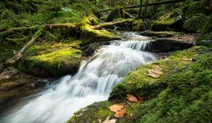 Preview wallpaper stream, cascade, waterfall, grass, leaves