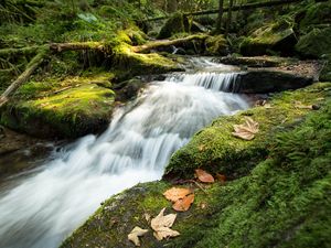 Preview wallpaper stream, cascade, waterfall, grass, leaves