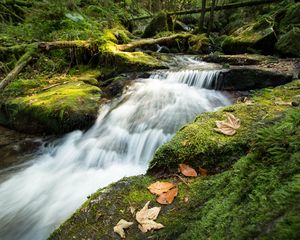 Preview wallpaper stream, cascade, waterfall, grass, leaves