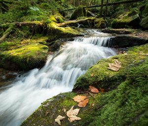 Preview wallpaper stream, cascade, waterfall, grass, leaves