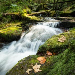 Preview wallpaper stream, cascade, waterfall, grass, leaves
