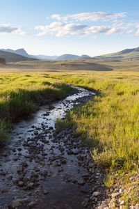 Preview wallpaper stream, field, mountains, horizon