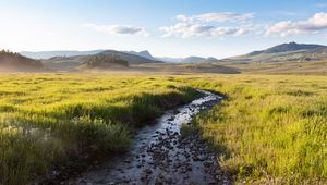 Preview wallpaper stream, field, mountains, horizon