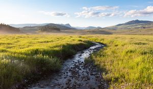 Preview wallpaper stream, field, mountains, horizon