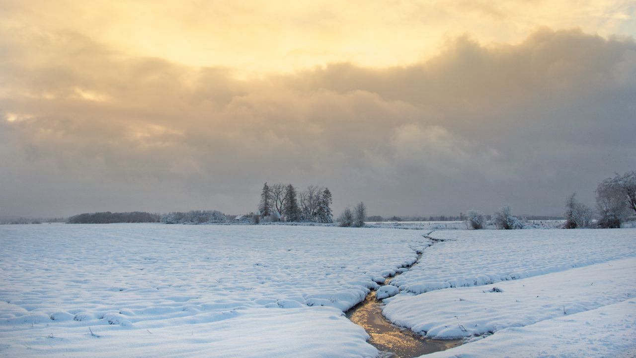 Wallpaper stream, field, snow, trees, winter, nature