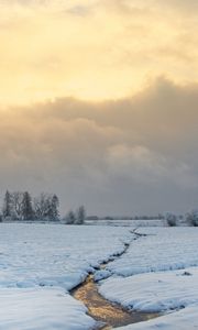 Preview wallpaper stream, field, snow, trees, winter, nature