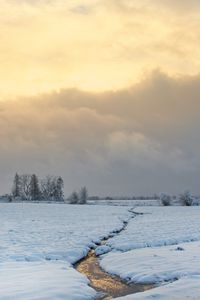 Preview wallpaper stream, field, snow, trees, winter, nature