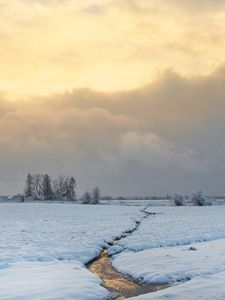 Preview wallpaper stream, field, snow, trees, winter, nature