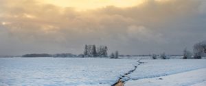 Preview wallpaper stream, field, snow, trees, winter, nature