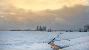 Preview wallpaper stream, field, snow, trees, winter, nature