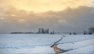 Preview wallpaper stream, field, snow, trees, winter, nature