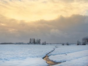 Preview wallpaper stream, field, snow, trees, winter, nature