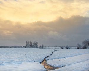 Preview wallpaper stream, field, snow, trees, winter, nature