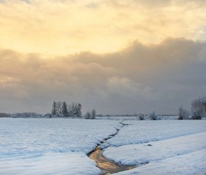 Preview wallpaper stream, field, snow, trees, winter, nature