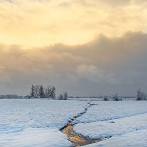 Preview wallpaper stream, field, snow, trees, winter, nature