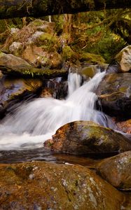 Preview wallpaper stream, flow, stones, wet, nature