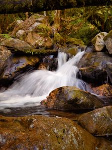 Preview wallpaper stream, flow, stones, wet, nature