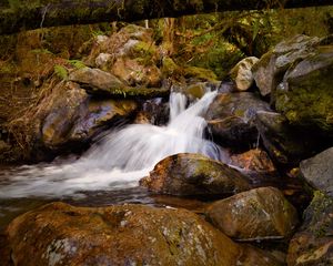 Preview wallpaper stream, flow, stones, wet, nature