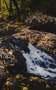 Preview wallpaper stream, foam, stones, leaves, autumn