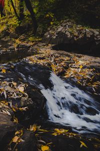 Preview wallpaper stream, foam, stones, leaves, autumn