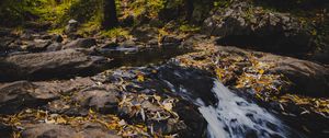 Preview wallpaper stream, foam, stones, leaves, autumn