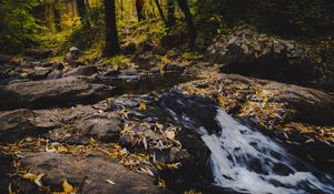 Preview wallpaper stream, foam, stones, leaves, autumn