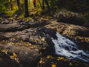 Preview wallpaper stream, foam, stones, leaves, autumn