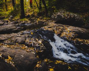 Preview wallpaper stream, foam, stones, leaves, autumn