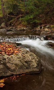 Preview wallpaper stream, forest, stones, autumn, landscape