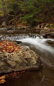 Preview wallpaper stream, forest, stones, autumn, landscape