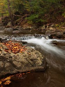 Preview wallpaper stream, forest, stones, autumn, landscape