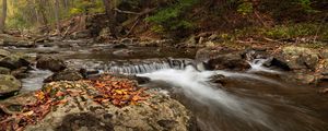 Preview wallpaper stream, forest, stones, autumn, landscape