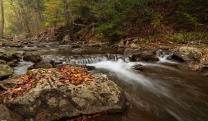 Preview wallpaper stream, forest, stones, autumn, landscape