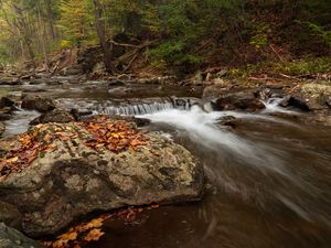 Preview wallpaper stream, forest, stones, autumn, landscape