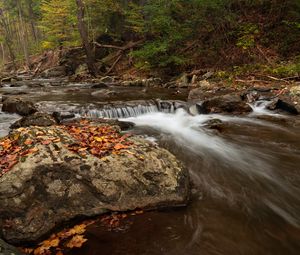 Preview wallpaper stream, forest, stones, autumn, landscape
