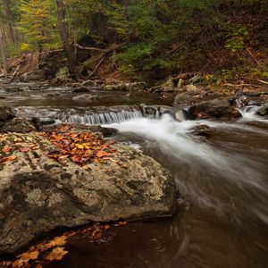 Preview wallpaper stream, forest, stones, autumn, landscape