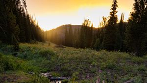 Preview wallpaper stream, grass, field, trees, sunset, nature