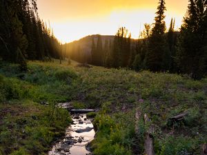 Preview wallpaper stream, grass, field, trees, sunset, nature