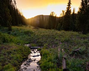 Preview wallpaper stream, grass, field, trees, sunset, nature