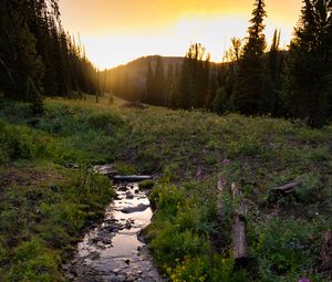 Preview wallpaper stream, grass, field, trees, sunset, nature