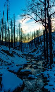 Preview wallpaper stream, hills, trees, snow, sunset, winter, nature