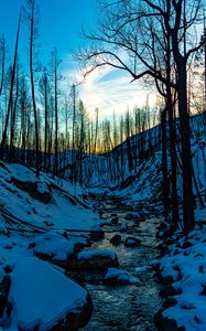 Preview wallpaper stream, hills, trees, snow, sunset, winter, nature