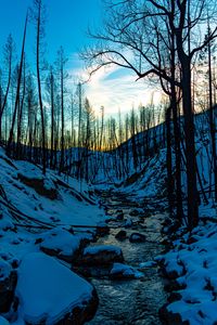 Preview wallpaper stream, hills, trees, snow, sunset, winter, nature