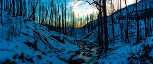 Preview wallpaper stream, hills, trees, snow, sunset, winter, nature