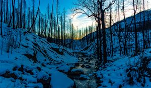 Preview wallpaper stream, hills, trees, snow, sunset, winter, nature