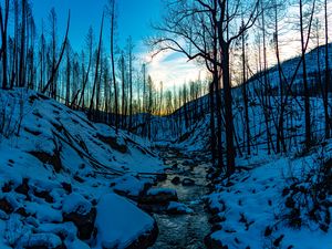 Preview wallpaper stream, hills, trees, snow, sunset, winter, nature