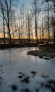 Preview wallpaper stream, ice, sunset, trees, nature