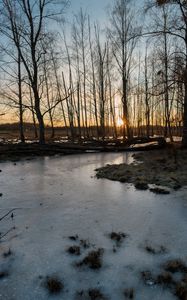 Preview wallpaper stream, ice, sunset, trees, nature