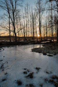 Preview wallpaper stream, ice, sunset, trees, nature